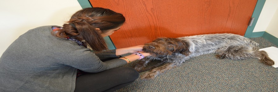Libby takes part in student’s psychology capstone research
