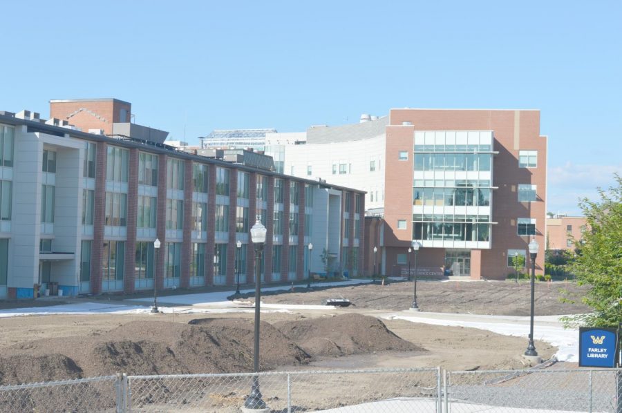 The site of the Fenner Quad during July showed dirt, rather than greenway.