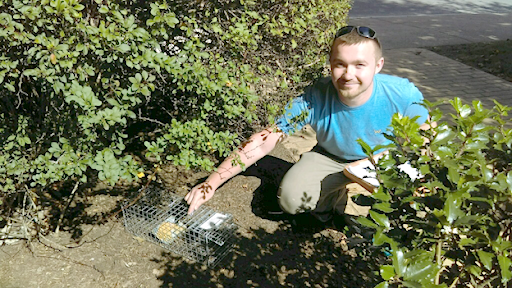 Brzozowski sets up a squirrel trap on campus for the research they did over the summer. 