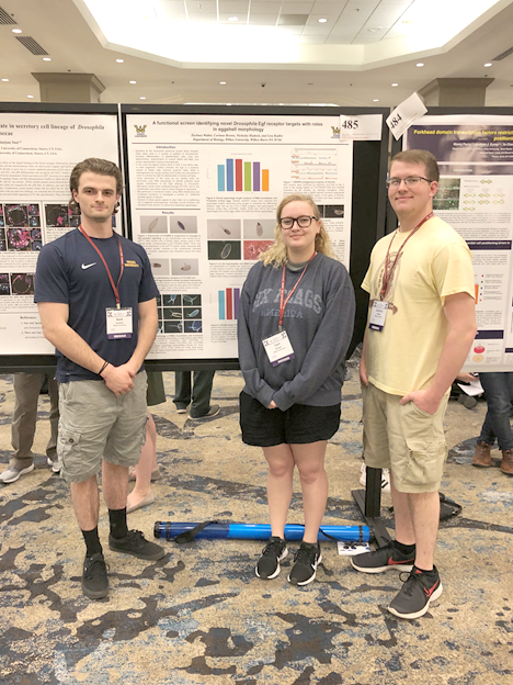 Nick Hudock, Corinne Brown and Zach Walter at last year’s Drosophila Research Conference.