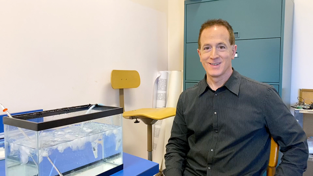 Dr. Edward Schicatano studies the on the neurological mechanism behind acute pain.