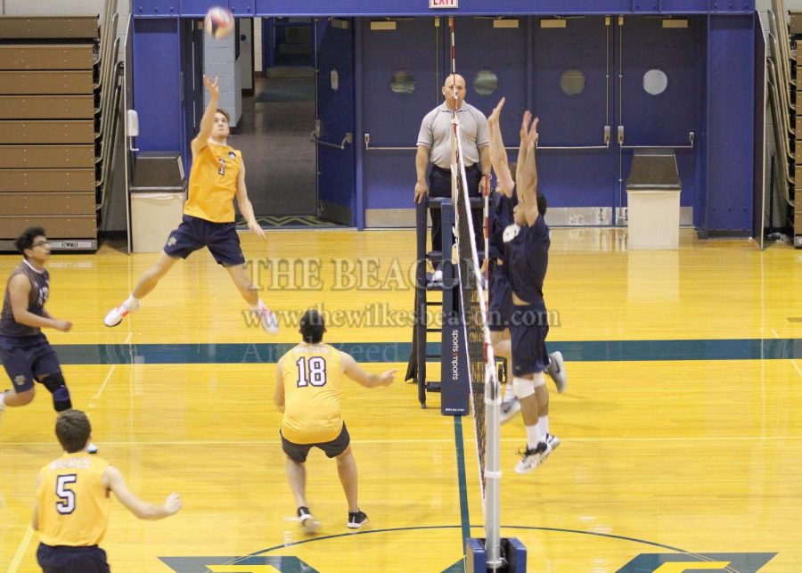 Outside hitter Zach Evans (1) recorded seven kills and two blocks in Wilkes’ 3-0 sweep against Neumann University in their season-opener on Tuesday, Jan. 21.