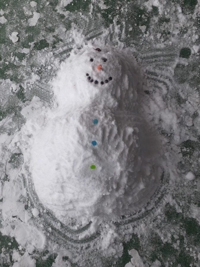 Students were unable to build a standing snowman on their Towers balcony; however, Freddie found his home on a seventh floor balcony.