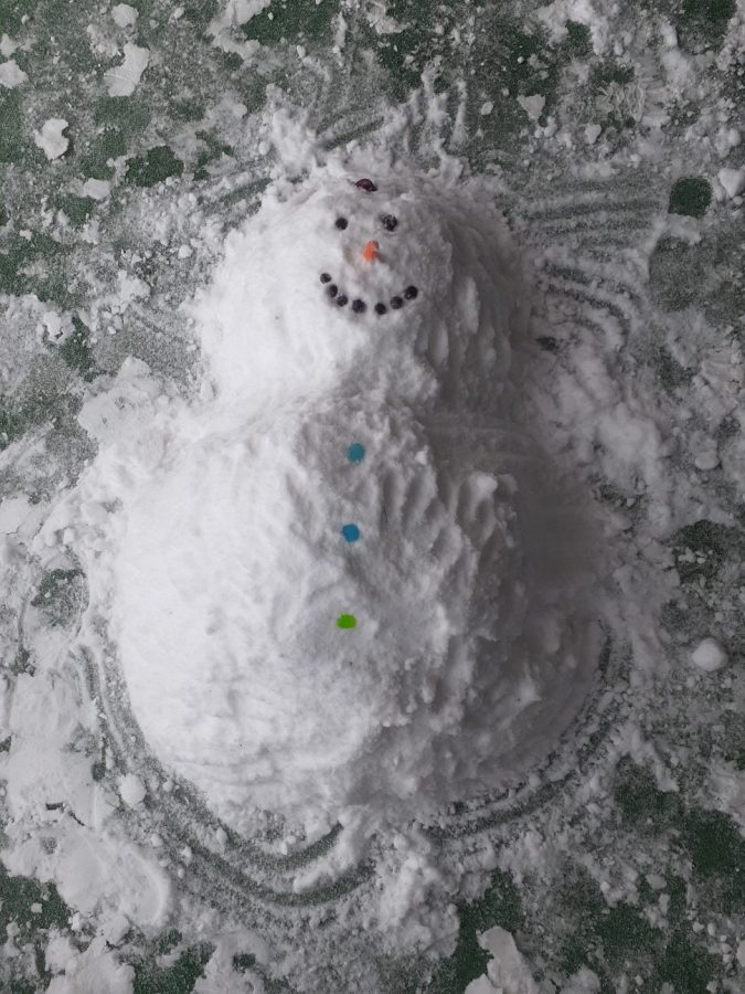 Students were unable to build a standing snowman on their Towers balcony; however, Freddie found his home on a seventh floor balcony.
