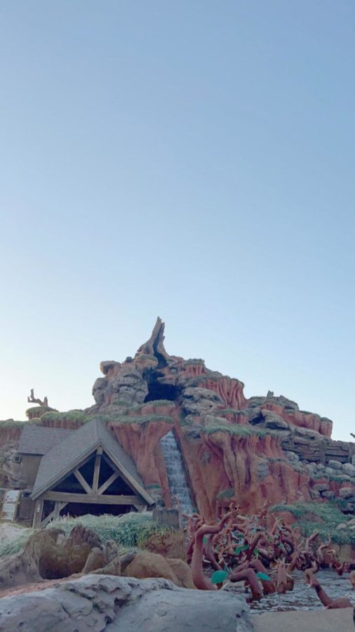 Disney World’s well-known Splash
Mountain will be retired, set to be
replaced by Tiana’s Bayou Adventure.
The log flume ride itself will stay the
same.