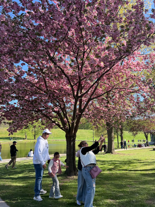 A family takes a selfie in front of a Cherry Blossom Tree at Kirby Park.